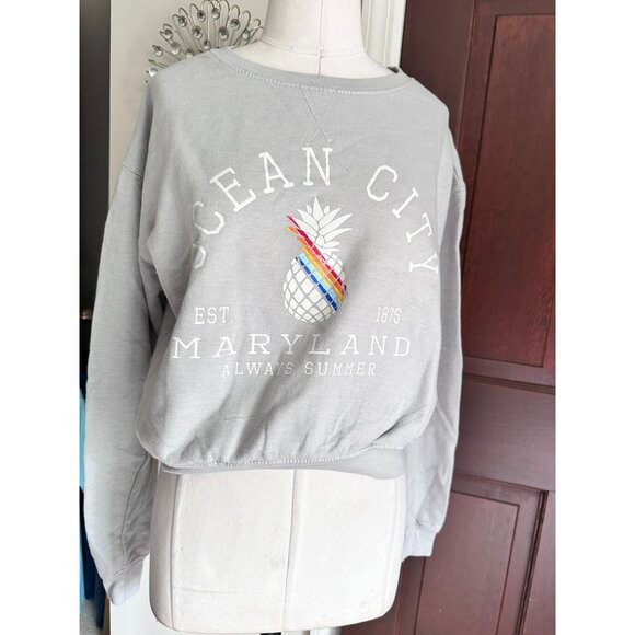 Sunsations Ocean City Maryland gray Always Summer sweatshirt Large - Picture 1 of 4